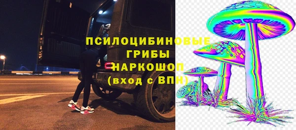 apvp Армянск