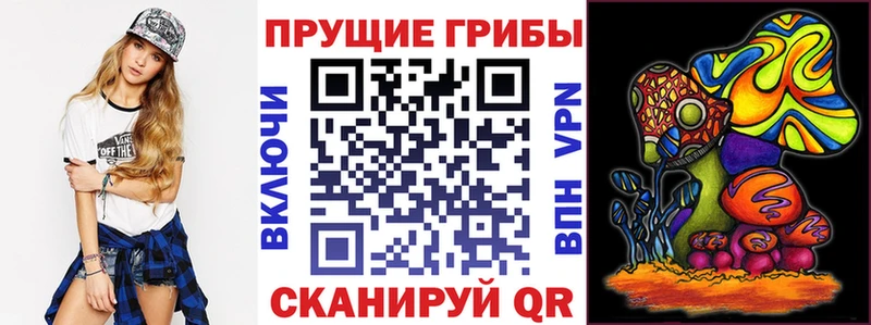 Галлюциногенные грибы Psilocybe Сурск